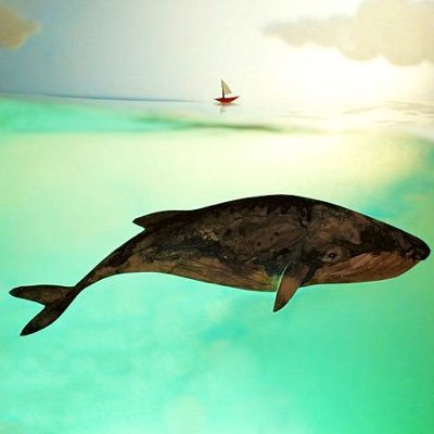 grokking1024's profile picture. 