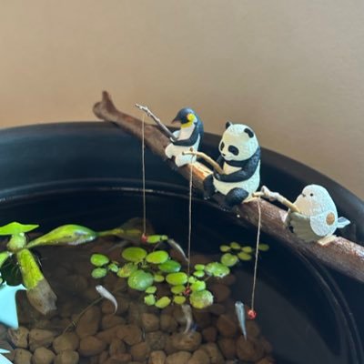 NyankoFlying's profile picture. A-xx＠宇宙パトロール中（一級船舶免許有医療従事者）