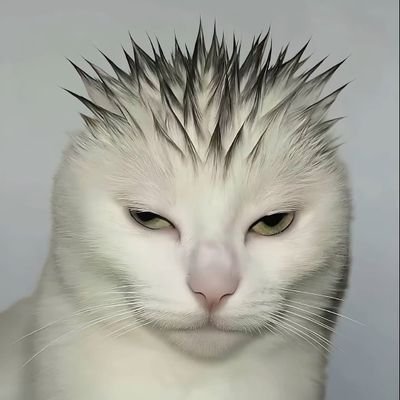 yudaさんのプロフィール画像