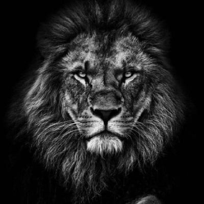 Romeo030395's profile picture. Just a fine artist and an investor in $WKC $Ocicat $Lunc $Pi