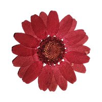 Le Jardin — Prompting! (@lejardinfest) 's Twitter Profile Photo Le Jardin — Prompting! (@lejardinfest) 's Twitter Profile Photo
