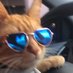 راننده تاکسی (@taaxi_driver) Twitter profile photo راننده تاکسی (@taaxi_driver) Twitter profile photo