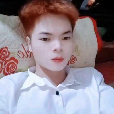 thevinh93's profile picture. Cryptocurrency
usdt : TR6mDbmxi7mNfD9PcZ6jbsaJtx9RKptqvh