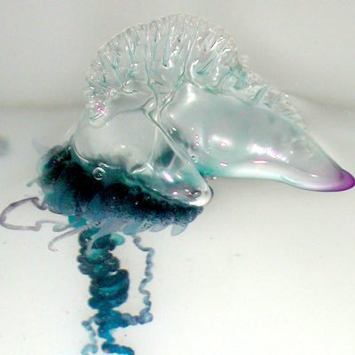 pukapukaukunomi's profile picture. 「🌙 」I LOVE 四国．I LOVE 愛媛．I LOVE 松山．