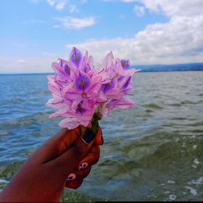 jinocracked's profile picture. Neema | Manifesting | Things fall apart