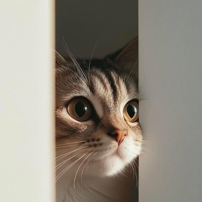 noof_mohsen's profile picture. ﴿وَمَا عِنْدَ اللَّهِ خَيْرٌ وَأَبْقَىٰ﴾❤❤️ (4/4) FCES ZU 💸