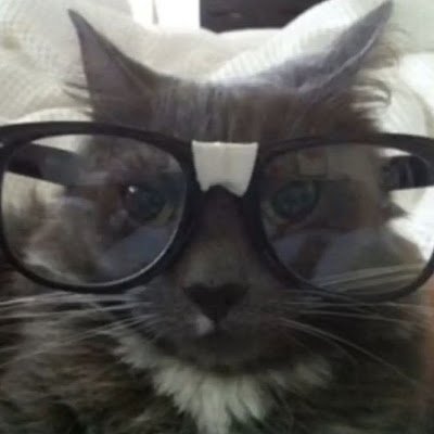 AkiraNott's profile picture. 