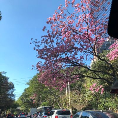 thisisheday's profile picture. 