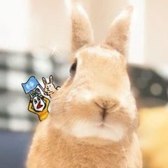 88yksnk_cgh22's profile picture. ✨Novelbrightに大感謝✨
　　//CHASED/...etc.
　　　好きなバンド好きな音楽を🎧️🎵
　　　◯ドラム動画観る🥁
　　　◯ﾊﾞｽｹ・ﾀﾞﾝｽ・映画・舞台を観る
　　
　　　◯よろしくお願いします😌
　　　　　　　⏩アリーナツアー城ホ2days