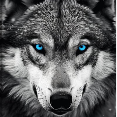 ManaGer_57's profile picture. Ne Mutlu Türküm Diyene 🇹🇷