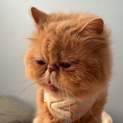 nataliagm99's profile picture. 🫀. un día a la vez