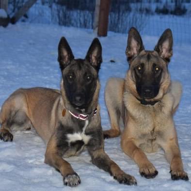 MooreTheoneshot's profile picture. 