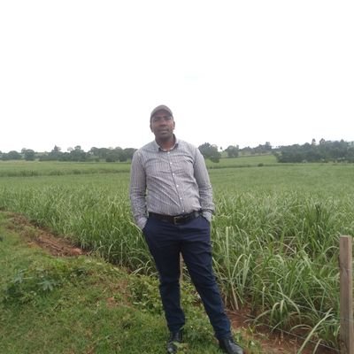 ronokipkoechben's profile picture. Professional Agriculture Extention