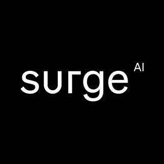 Surge AI Profile