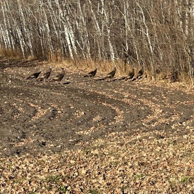 Jared2640655464's profile picture. 