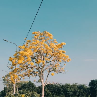 hoaidang7519's profile picture. Một người luôn tìm kiếm cái mới