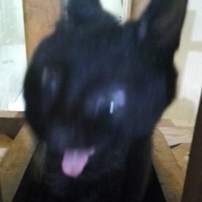 lux|| Vgen openさんのプロフィール画像