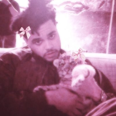 𝓅𝓇𝒾𝓃𝒸𝑒𝓈𝓈 ۶ৎ | 𝑋ˑ𝘖 (Abel is my fictional bf) ⋆⭒˚。⋆Kiss Land and Thursday defender ⋆⭒˚。⋆Free Palestine メᡣ𐭩