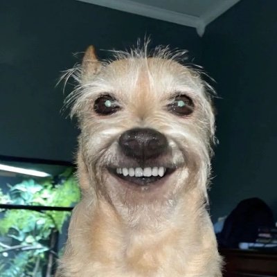 fossilman2000's profile picture. Quit “X”