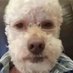 Charlie Currie (@charliecur74308) Twitter profile photo Charlie Currie (@charliecur74308) Twitter profile photo