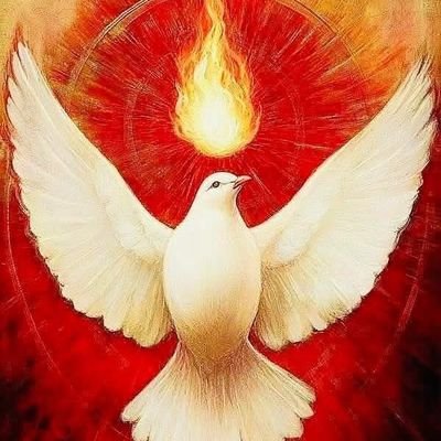 Gamezaldo76316's profile picture. Catholic 🇻🇦 Conservative, 🇺🇲Tex Mex  🇲🇽 Viva Cristo Rey!