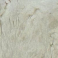 冒険 (@boukenshiyou) 's Twitter Profile Photo