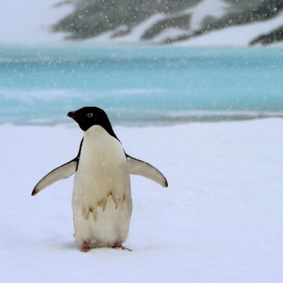 JatinKaush86590's profile picture. 