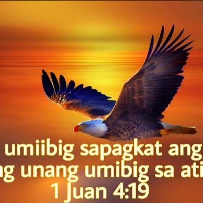 NoiseSoriano's profile picture. Have a great day