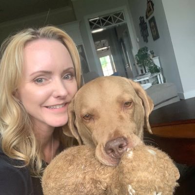 sully4485's profile picture. Football Fan: Louisville Cardinals, NFC Cowboys, AFC Steelers (Don’t hate my divided heart!)  #SFB14, #SFB15