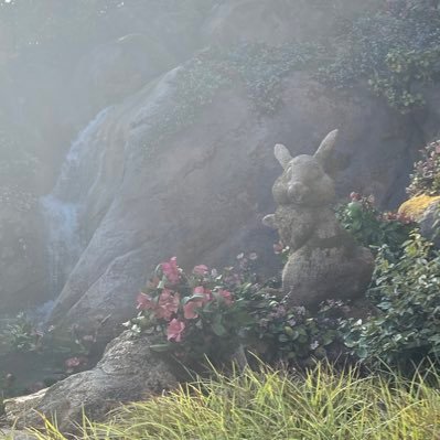 mc_yz7's profile picture. 