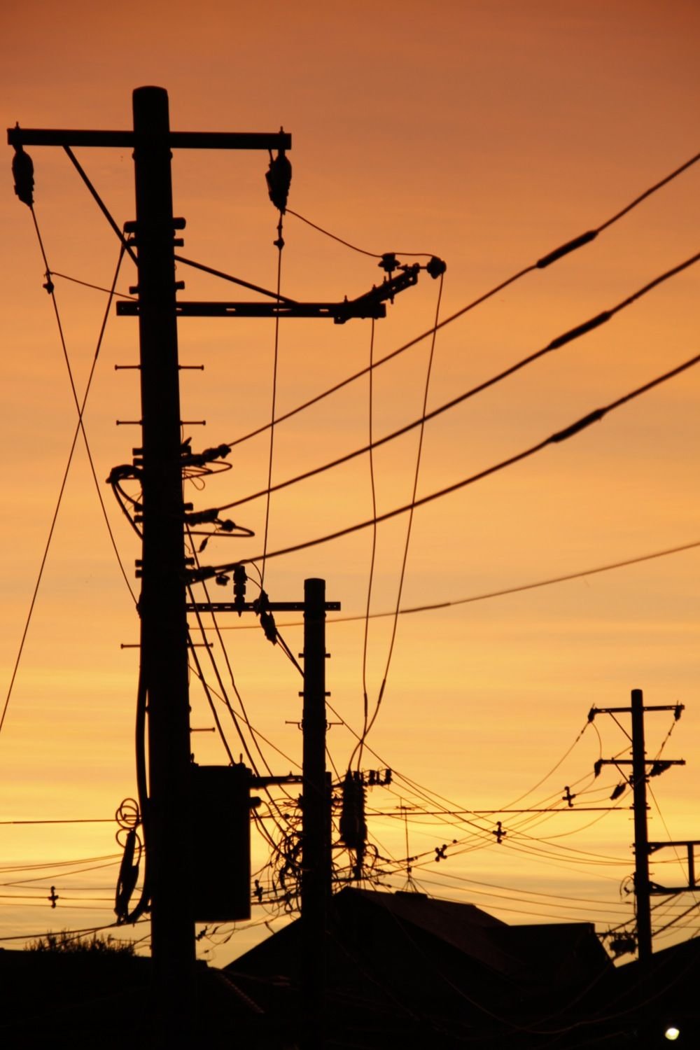 claryslean's profile picture. 新的kigurumi工作室呀！