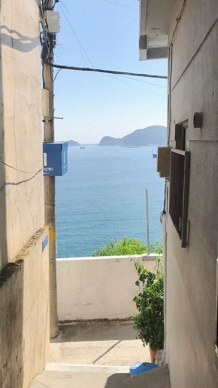 coolkidsdiebae's profile picture. 20⤴︎ 雑多/ツイ消し多数【https://t.co/PuROlffWgC】