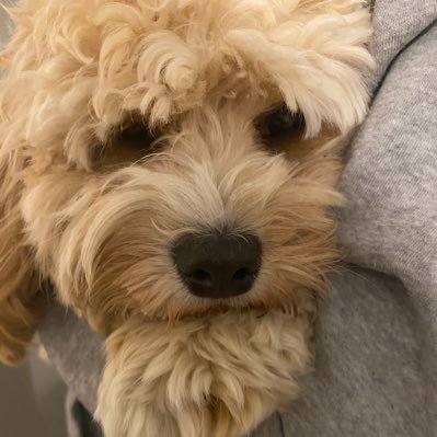 Rjills3's profile picture. 