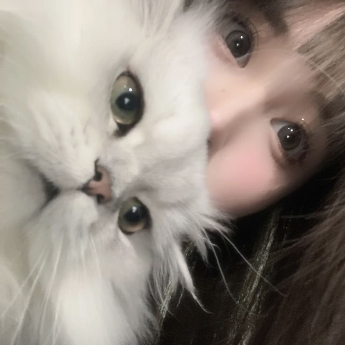 fatai_adekunle's profile picture. 無言フォローしたり、ROM専()だったり。 あとツイッターの使い方よく分からない←重要 FGO/艦これ/電気式華憐音楽集団/デンカリスト/ゆゆゆ/神座万象シリーズ