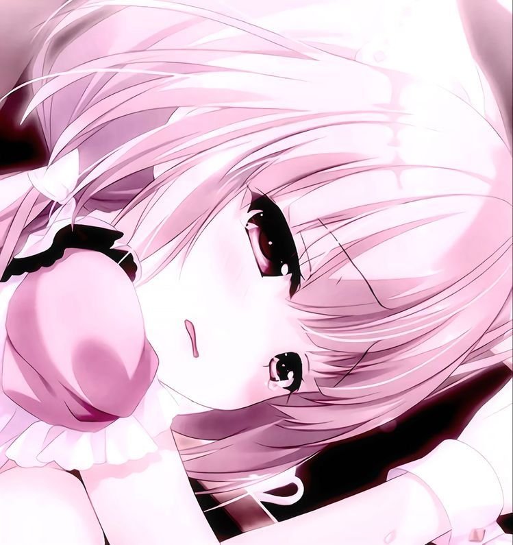 harun_kocak's profile picture. 花粉✖️ 17