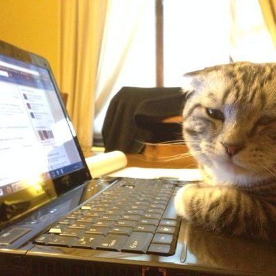 Solankimit83743's profile picture. 