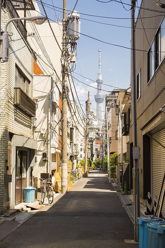 KLulewicz's profile picture. 俺はたわし