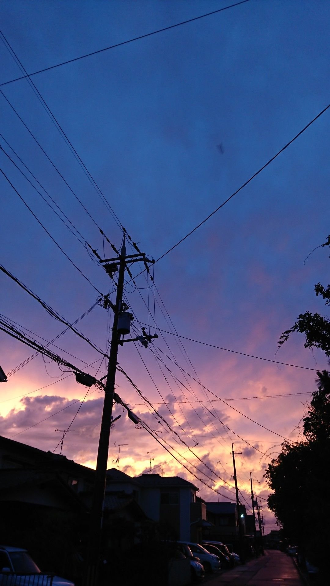 linda_zilisch's profile picture. むすめ、むすことゆるーくポケカしていた(T . T)今は親父単でFaBの情報収集。ウデマエはほぼ初心者。日本の魔境・グンマ―（群馬）でリモート対戦を夢見る日々。よろしくお願いします。 #ポケカ親子とつながりたい #群馬 #グンマー #ポケカ #FaB