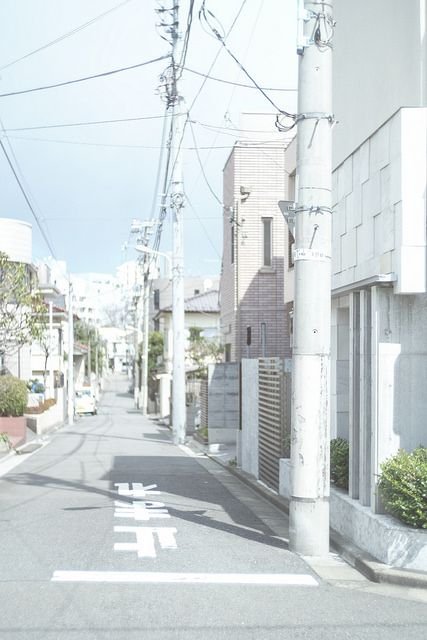 MahCiumentta's profile picture. 旅行