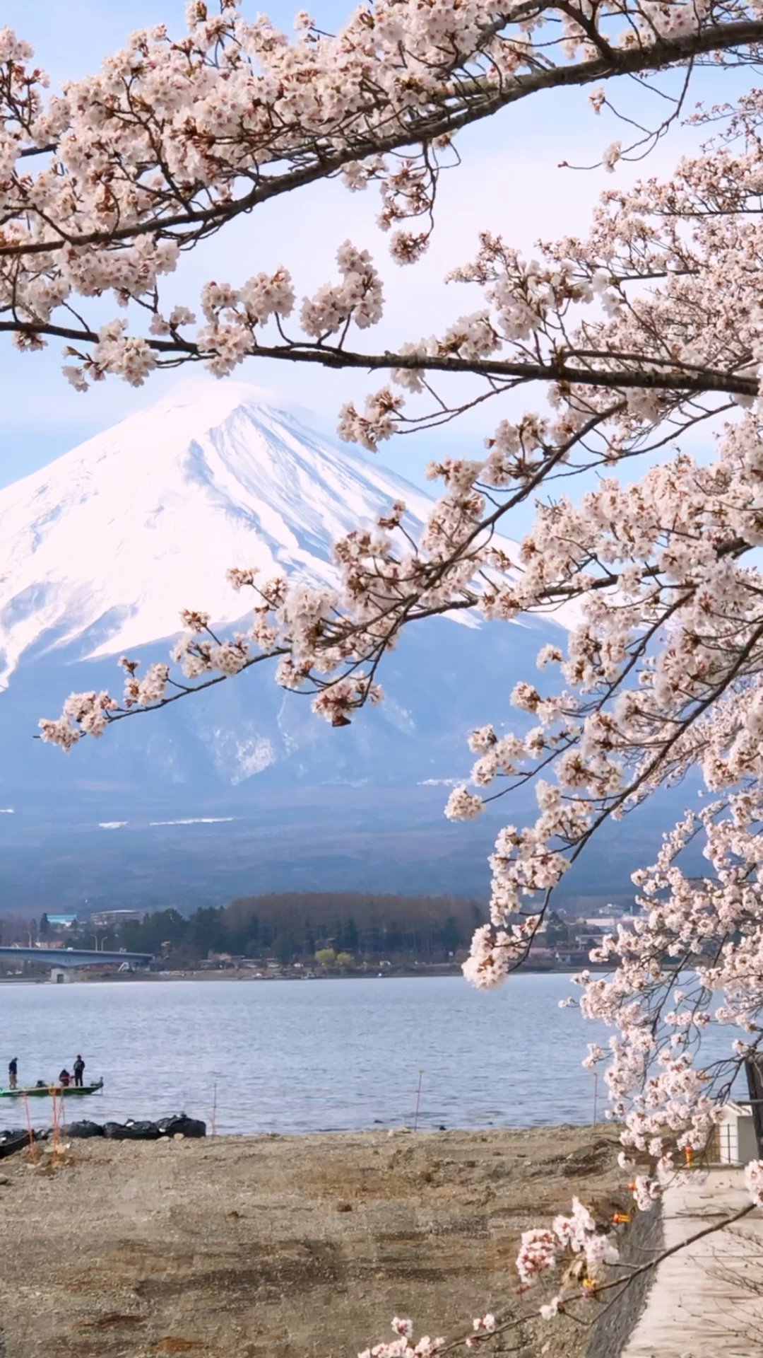 LewdMommyMomo's profile picture. 自動車系の映像ディレクターをやっています。時々撮影や編集もやります。