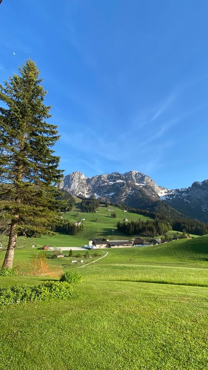 Miguel_Ctl's profile picture. 中文/日本語 学生 喜欢画画  絵が好き　大学生