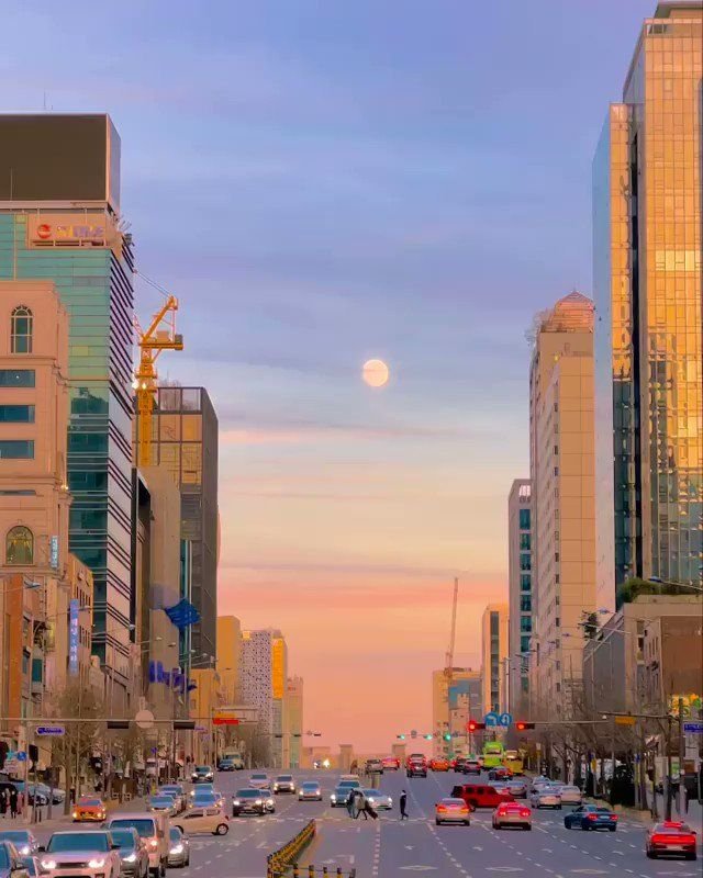 MsKingForNow's profile picture. 今は日本語を習います、どんどんに良くなります、中国語、英語、日本語でok