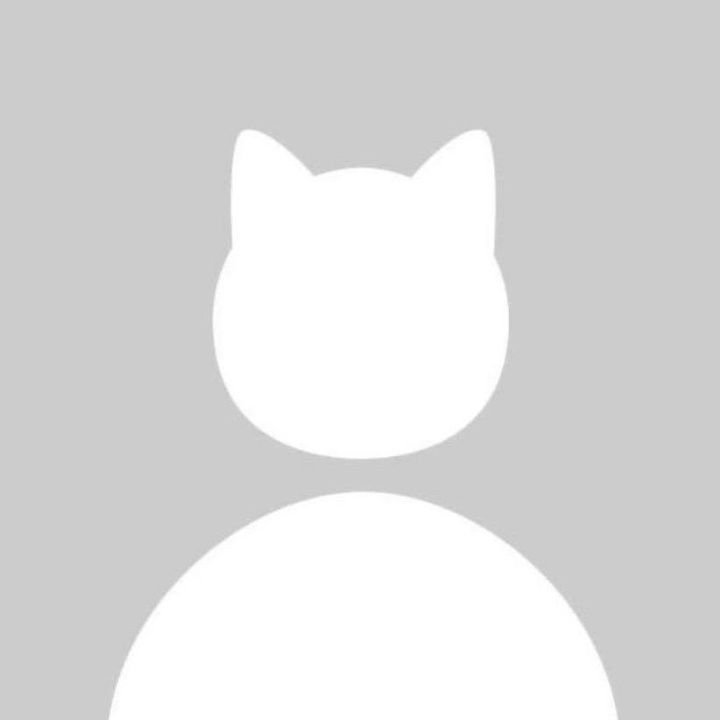 niuboss2's profile picture. 映像作家