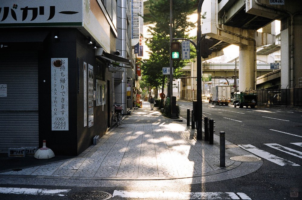 レボリューション🪽