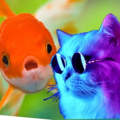 Fan account for ONLY BTS 🐳 ⁷
내 손에 쥔 떡이 좀 크긴 해
I rarely check DMs
