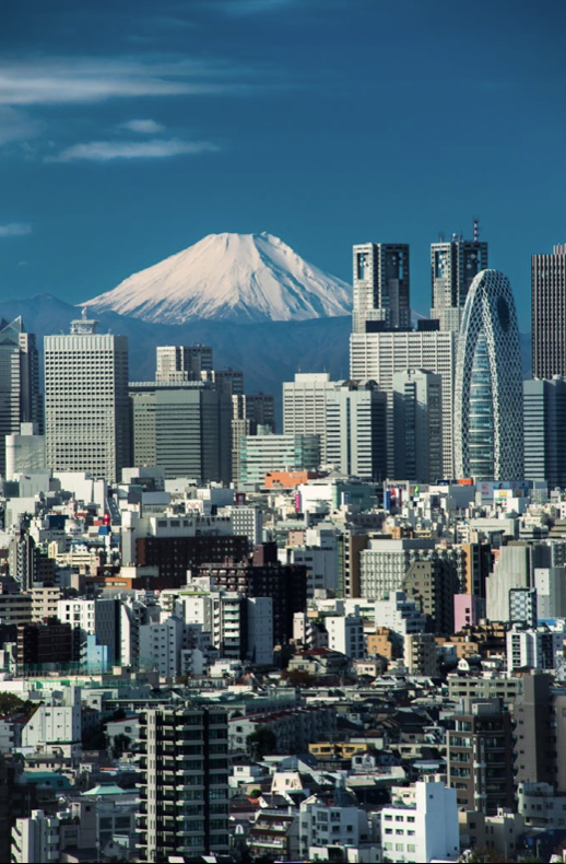 名前は「せせえせ」と読みます 2024年2月に始めた陶芸と同7月スタートの資産運用について強引に1つのアカウントで呟きます 初々しさを発信できれば満足 飲んでいれば幸せなタイプです