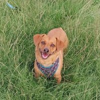 Fran Fegeley (@franfegeley) 's Twitter Profile Photo Fran Fegeley (@franfegeley) 's Twitter Profile Photo