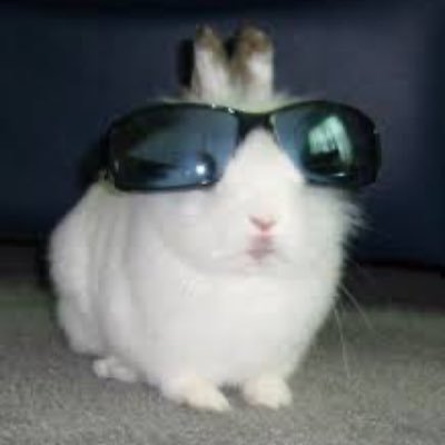 regdepression's profile picture. too fast for AV, too based for HackerOne