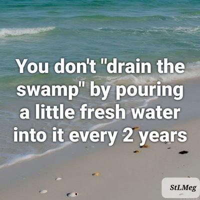 StLouisMeg's profile picture. Sarcasm is 2nd language.
🚫🍊🤡💩🌮🎪 sycophants
#ConstitutionalConservative 
#TeamDeSantis
#RaiseTheDamnBar #RaiseTheDamnBarAlready! 
🚫🍊🤡💩🌮🎪 sycophants!