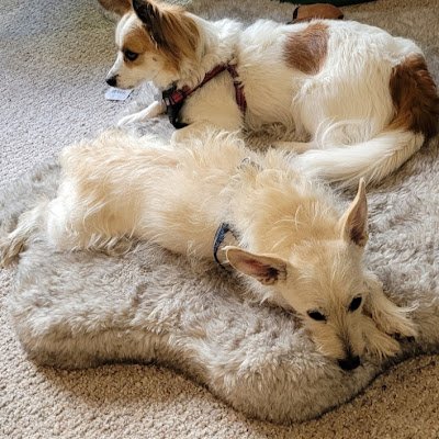 JamesPage295576's profile picture. 